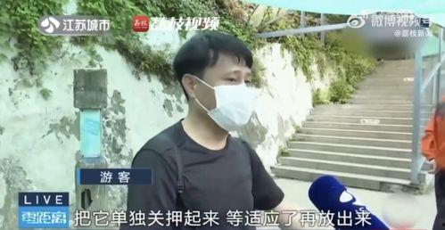 网红吃瓜男生是谁啊,他是谁？背后的故事与影响力