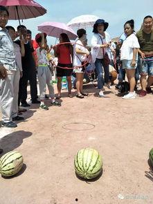 烟台吃瓜大赛官网,一场舌尖上的狂欢盛宴，瓜王争霸一触即发！”