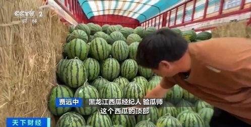 512热点网红吃瓜,网红吃瓜盛宴，揭秘幕后真相