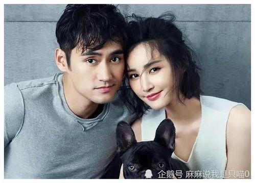 各位明星吃瓜爆料