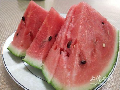 全国网红吃瓜网站有哪些,揭秘热门平台背后的故事