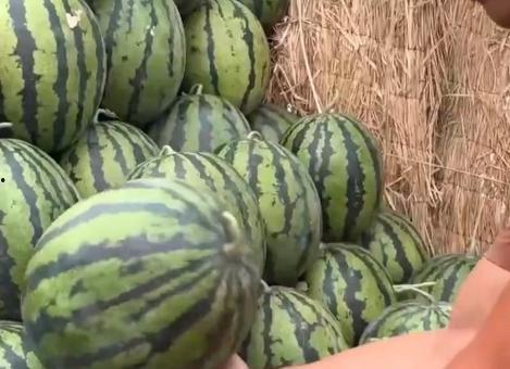 全国网红吃瓜网站有哪些,揭秘热门平台背后的故事  第3张