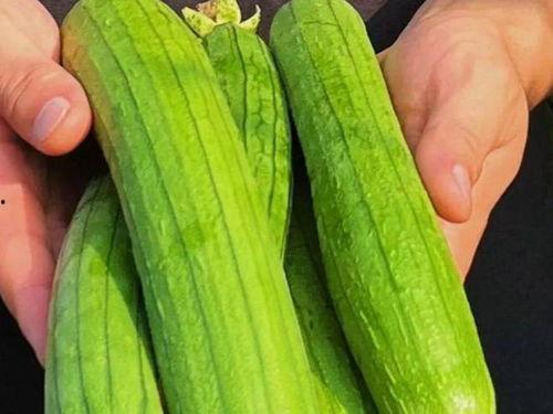 讲吃瓜爆料,吃瓜爆料背后的真相与内幕 第3张 讲吃瓜爆料,吃瓜爆料背后的真相与内幕 第3张