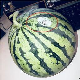 家暴吃瓜网红,网红家暴事件引发网友热议 第2张 家暴吃瓜网红,网红家暴事件引发网友热议 第2张