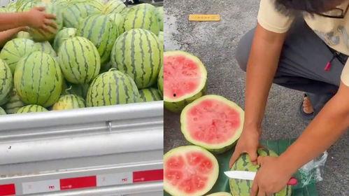 临沂吃生瓜网红女的,挑战极限美食新风尚  第2张