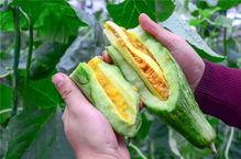 古风网红吃瓜,揭秘娱乐圈幕后风云  第3张