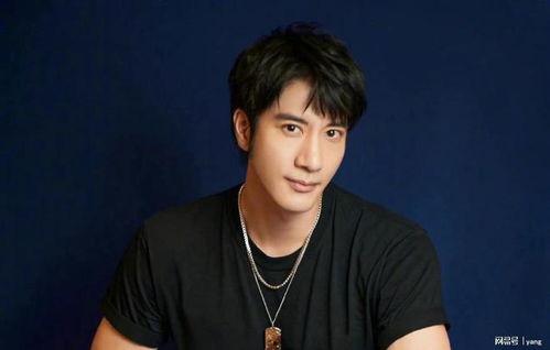 吃瓜网王力宏,吃瓜网揭秘事件背后真相  第3张