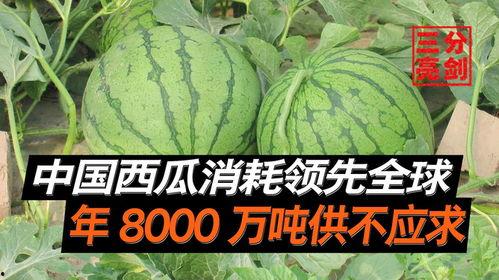 网红400万粉丝吃瓜  第2张