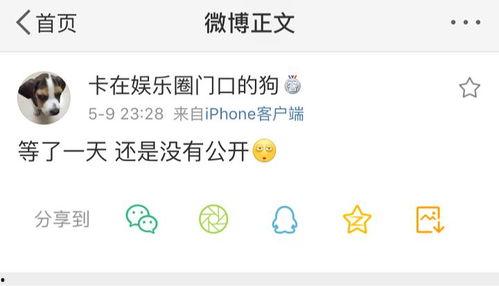 吃瓜号爆料,娱乐圈最新猛料大揭秘！