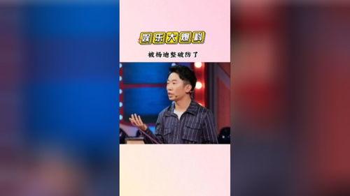 娱乐吃瓜猫杨迪,娱乐吃瓜猫的趣味人生  第2张