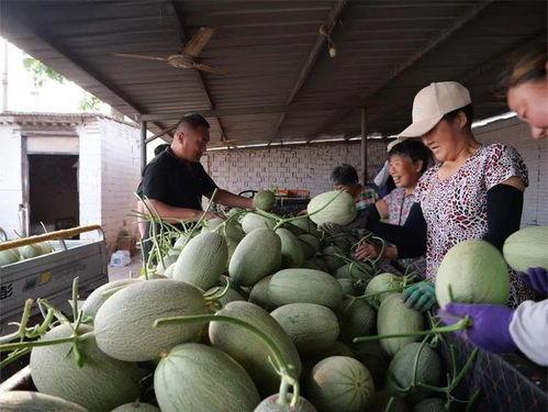 吃瓜网怎么进入 第2张 吃瓜网怎么进入 第2张