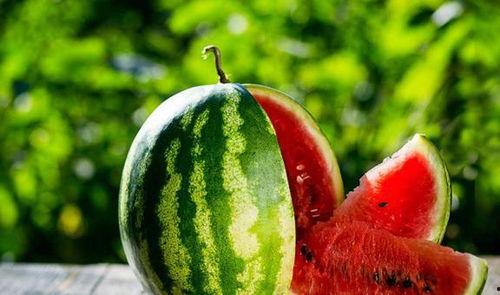 我在年代文里吃瓜玫瑰网 第2张 我在年代文里吃瓜玫瑰网 第2张