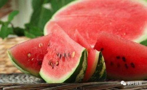 我在年代文里吃瓜玫瑰网 第3张 我在年代文里吃瓜玫瑰网 第3张